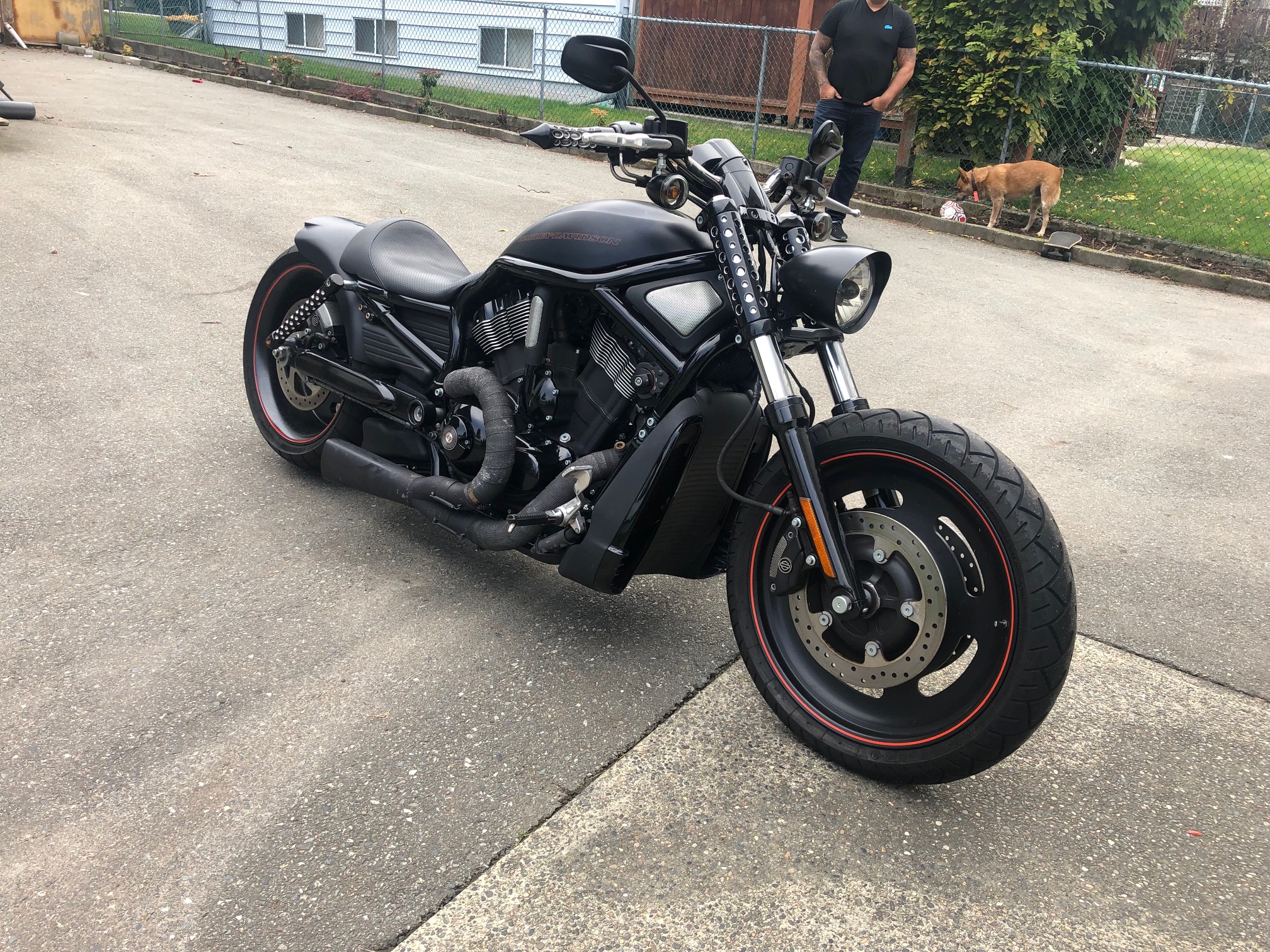 2007 harley davidson v rod for sale